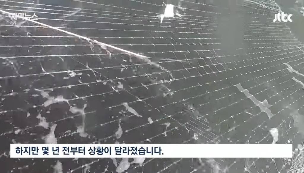 심각하다는 서귀포 바다 근황.jpg | 인스티즈