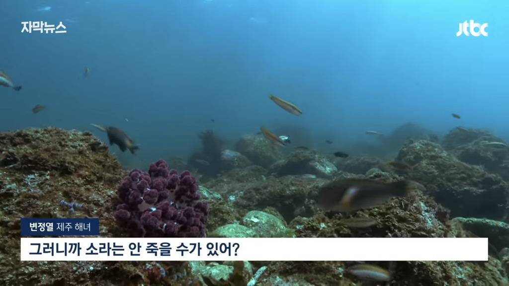 심각하다는 서귀포 바다 근황.jpg | 인스티즈