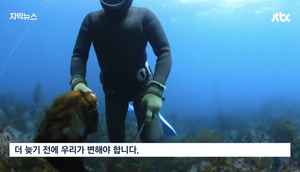 심각하다는 서귀포 바다 근황.jpg | 인스티즈