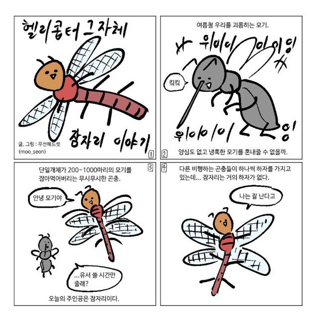 잠자리가 줄어드는 이유.jpg | 인스티즈