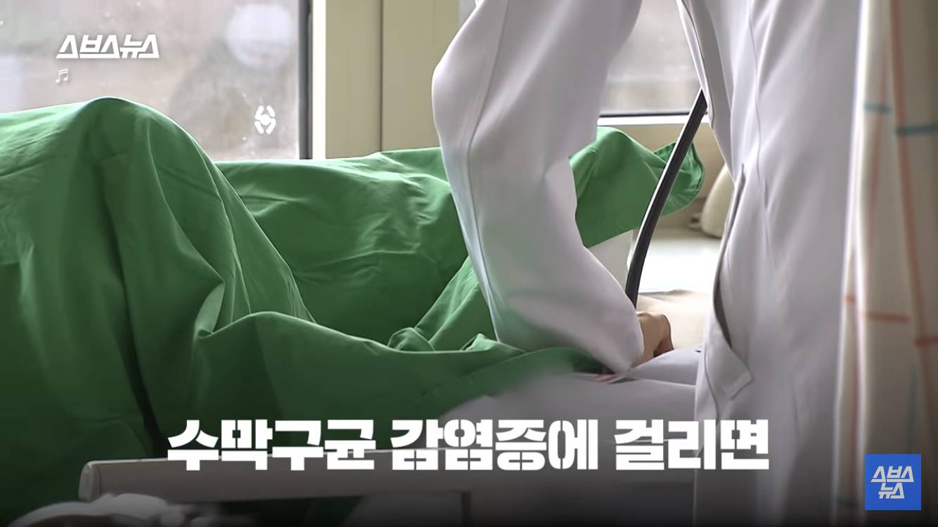 하루만에 사망 가능한 20대 감염자 1위 질병 | 인스티즈