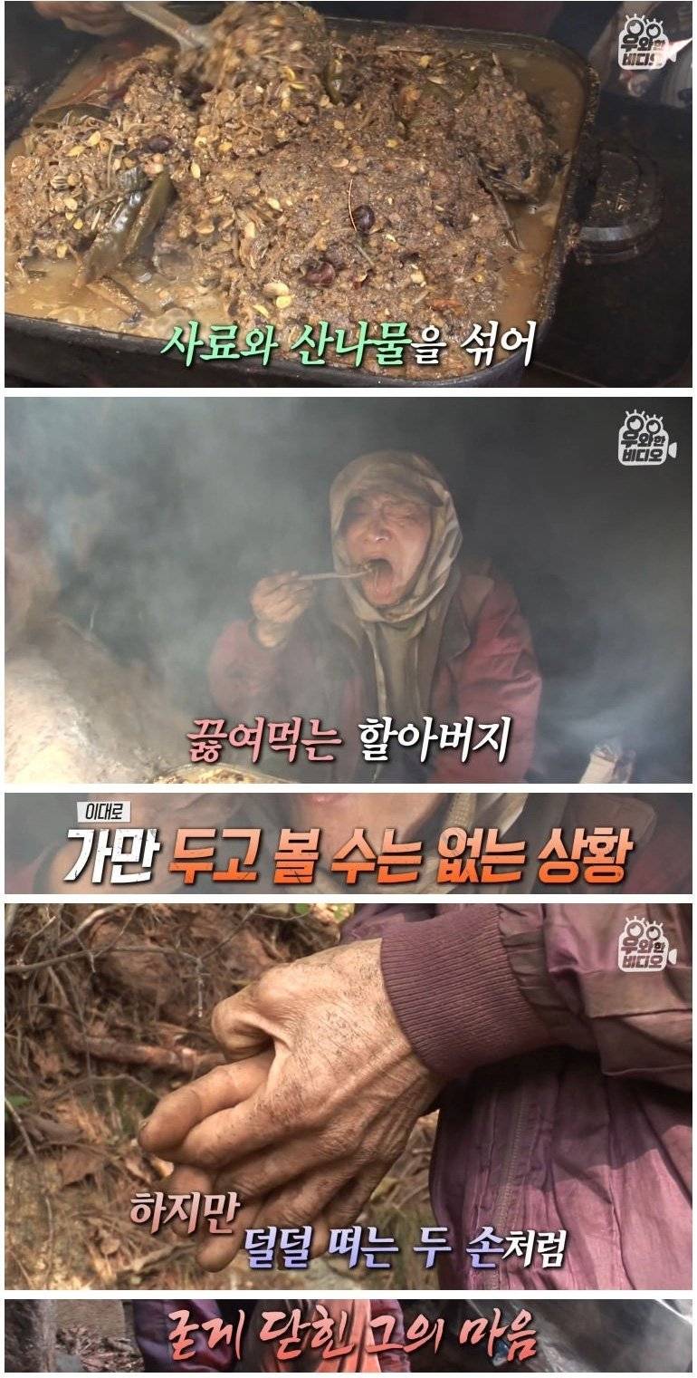 실종된지 50년 만에 발견된 할아버지 | 인스티즈