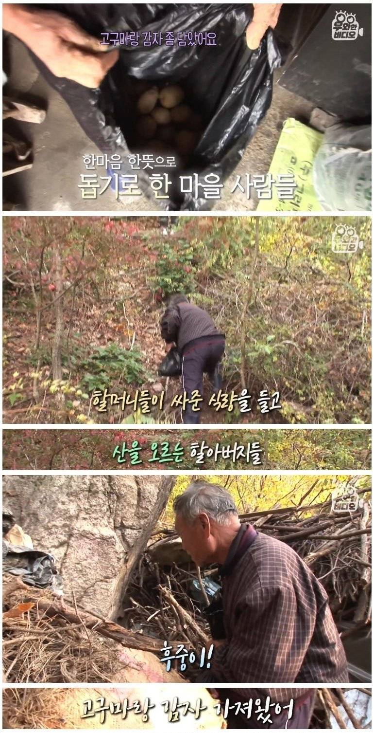 실종된지 50년 만에 발견된 할아버지 | 인스티즈