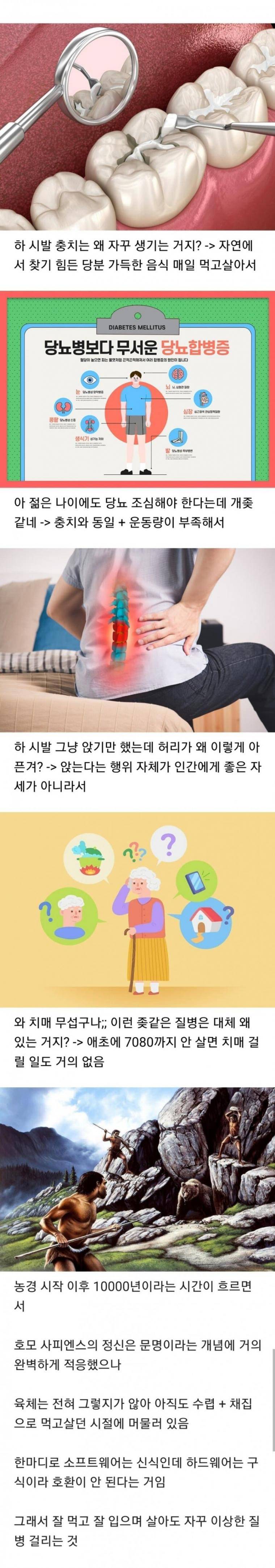 인간의 몸에서 설계가 잘못된 부분들.jpg | 인스티즈