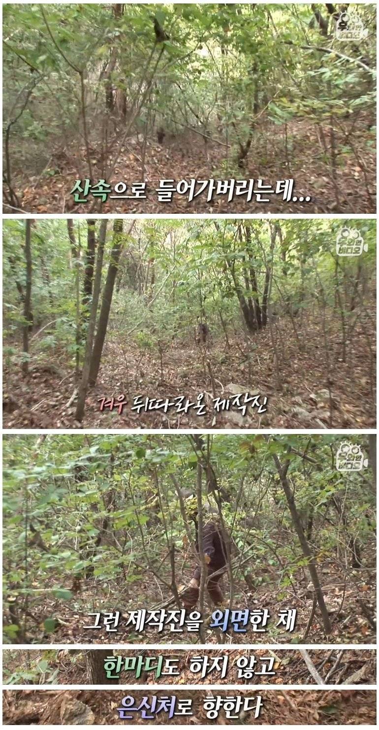 실종된지 50년 만에 발견된 할아버지 | 인스티즈