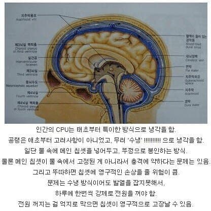 인간의 몸에서 설계가 잘못된 부분들.jpg | 인스티즈