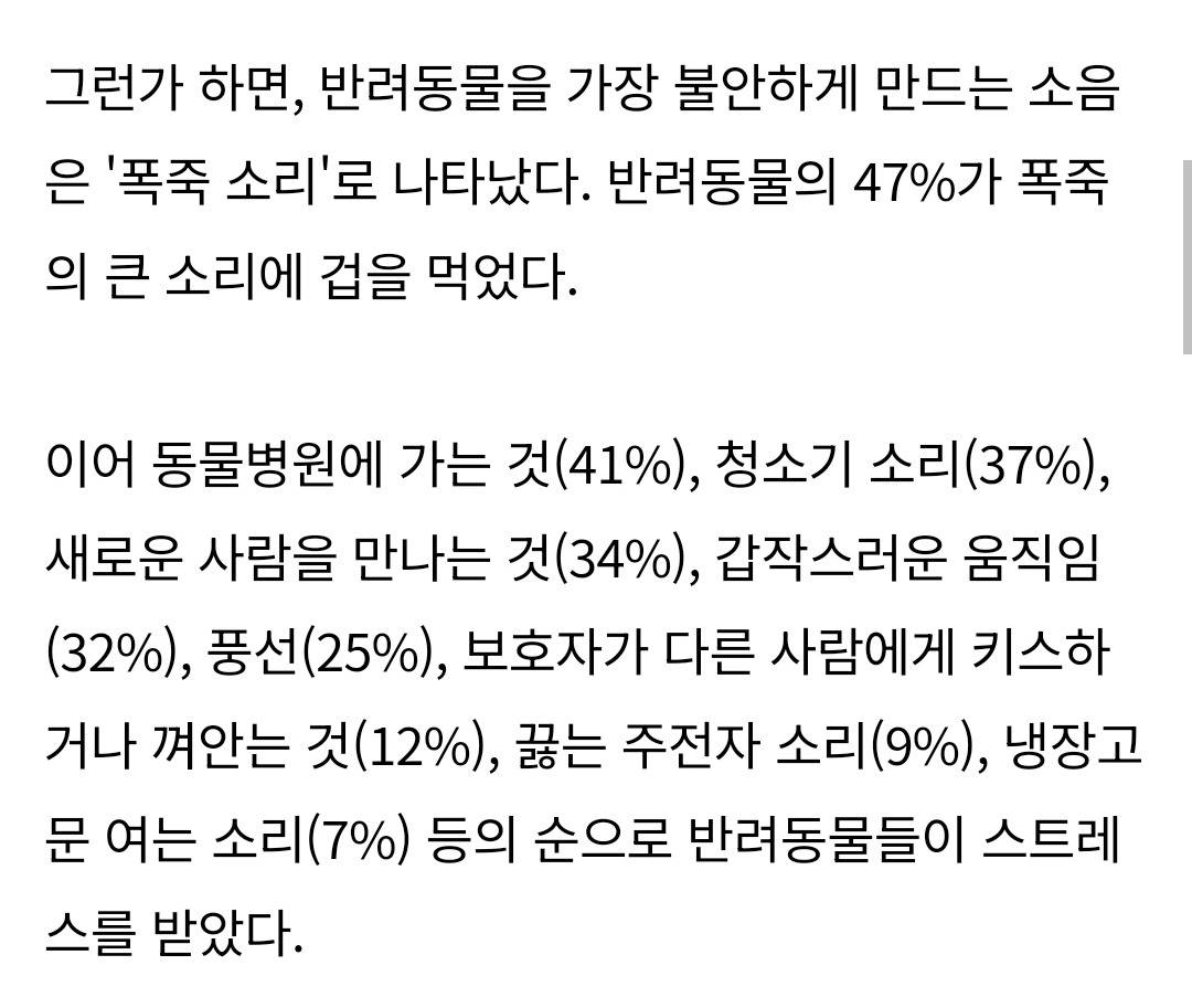 반려견·반려묘 앞에서 방귀 뀌면 안 된다고 함.twt | 인스티즈