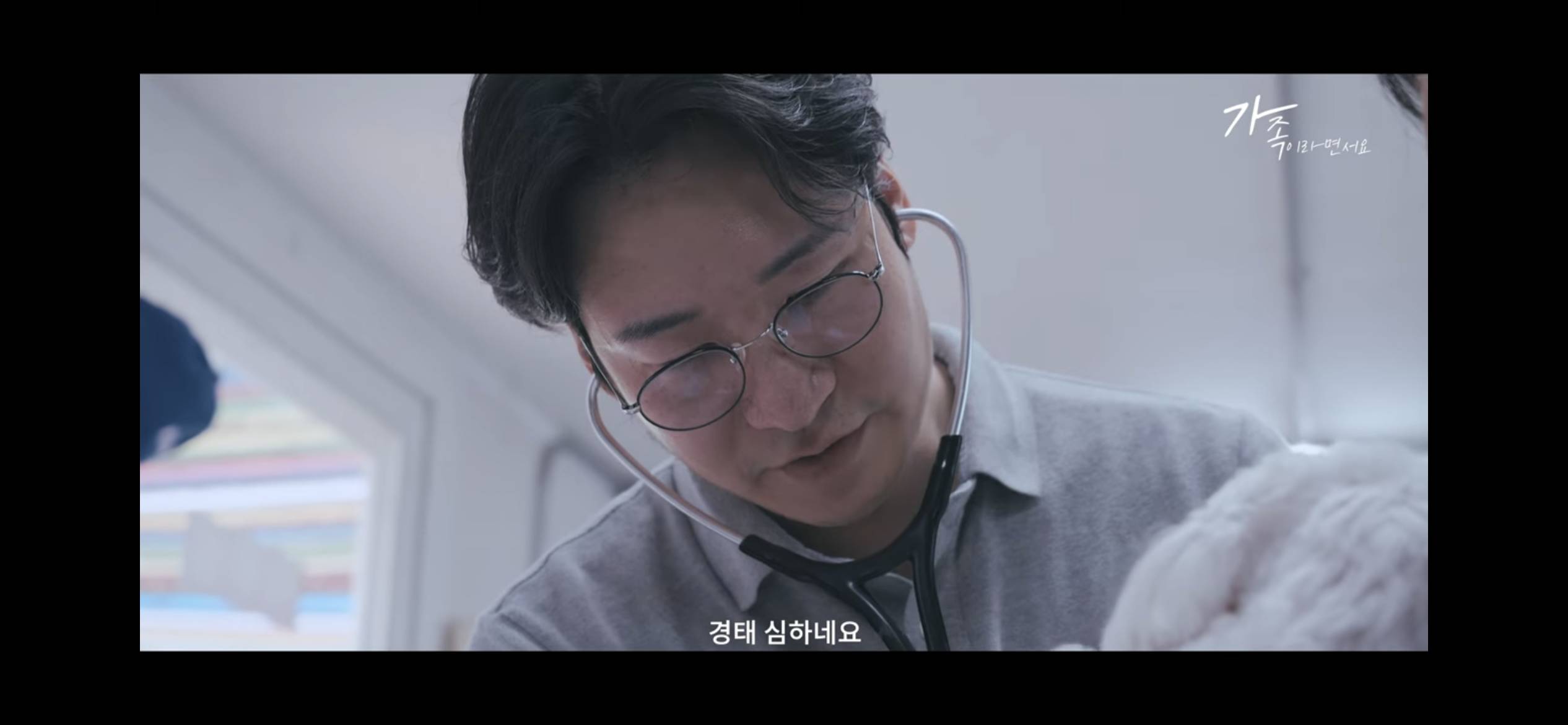 sns스타 택배견 경태를 기억해? 경태 경태희 진짜 근황 (눈물,분노 주의) | 인스티즈