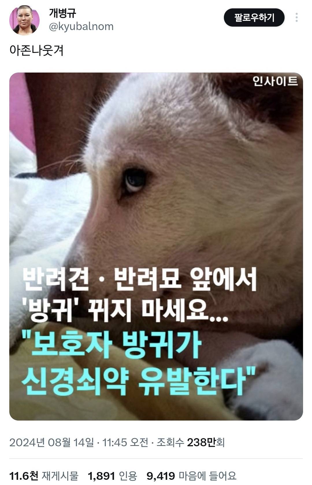 반려견·반려묘 앞에서 방귀 뀌면 안 된다고 함.twt | 인스티즈