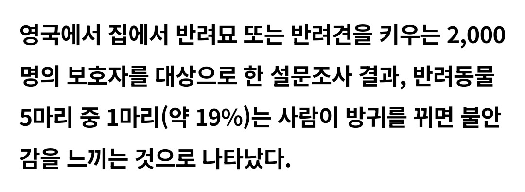 반려견·반려묘 앞에서 방귀 뀌면 안 된다고 함.twt | 인스티즈
