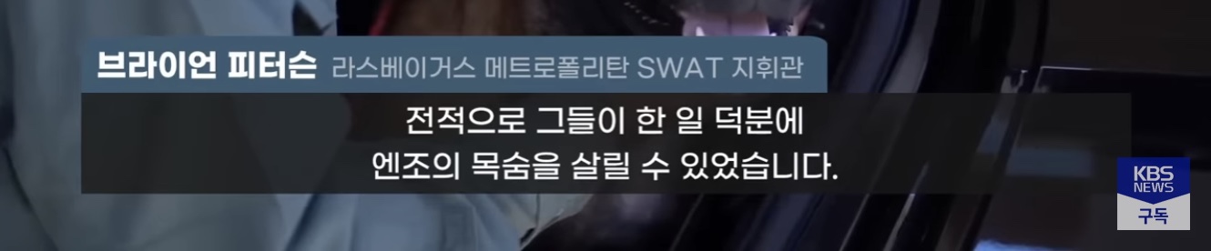 경찰견을 살리기위해 도로를 통제하고 헬기부른 미국 | 인스티즈