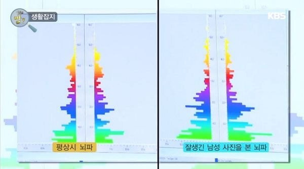 잘생긴 남자 보며 공부하면 '기억력' 좋아진다 | 인스티즈