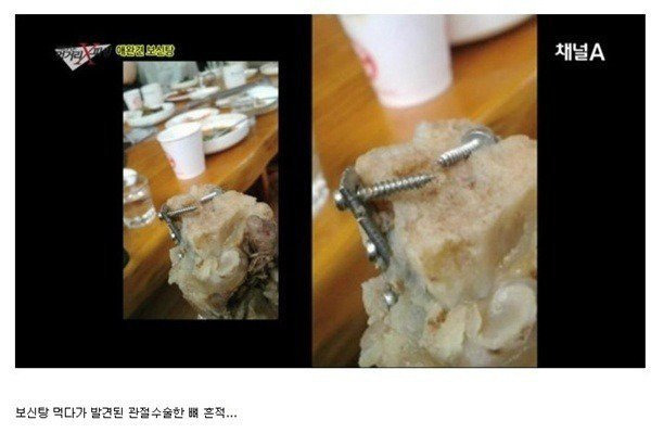 10년전 개고기에 대한 대중의 인식을 크게 바꿨던 국내 사건중 하나.jpg | 인스티즈
