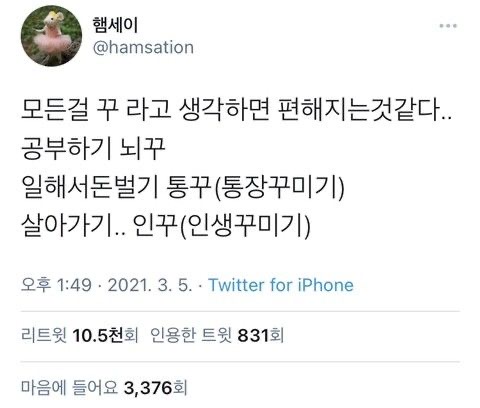 소심한 내향인이 차곡차곡 모아온 도움되는 글귀 | 인스티즈