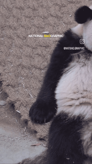 길바닥에 루이🐼 곰인형 흘리고 가신 분? | 인스티즈