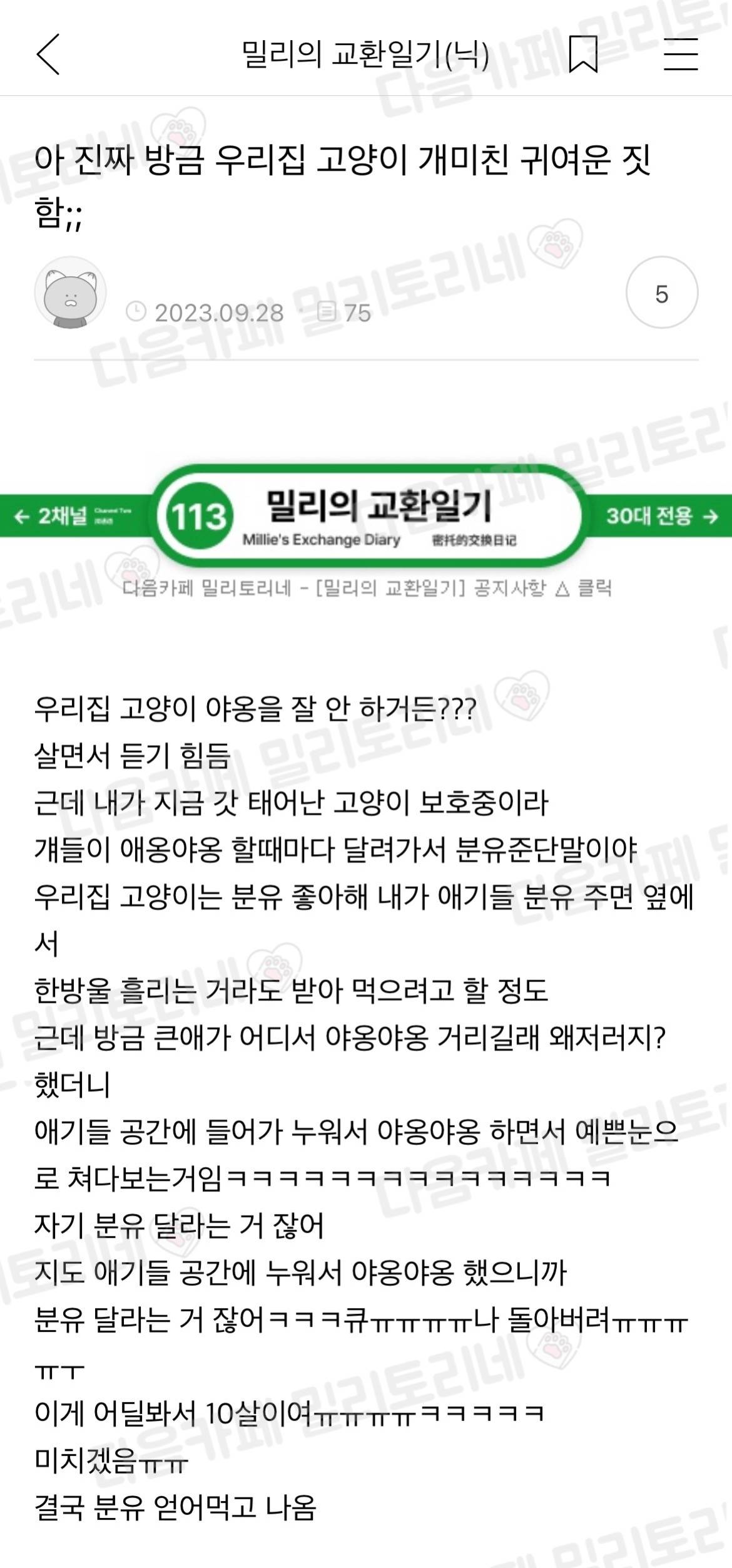 아 진짜 방금 우리집 고양이 개미친 귀여운 짓 함 | 인스티즈
