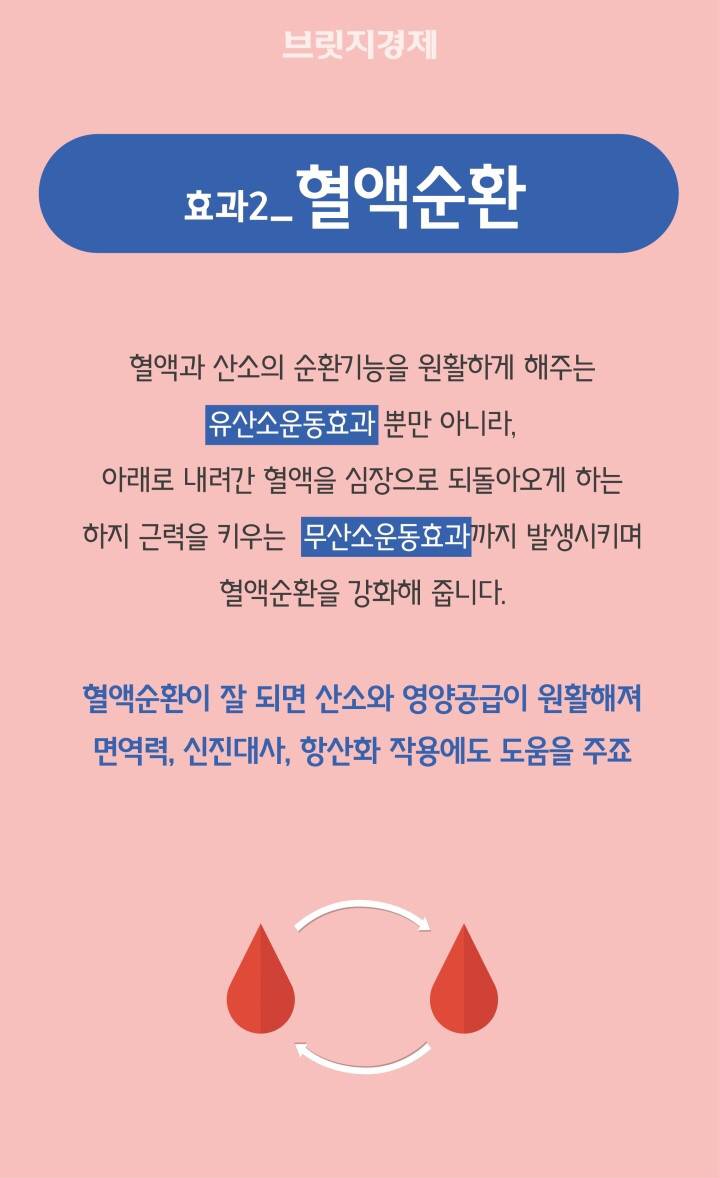 최소의 투자로 최대의 효과를 보는 '계단 오르기' | 인스티즈