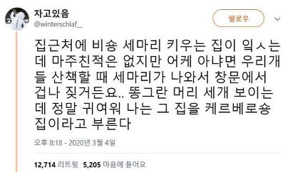 홍준표 눈썹문신 망했던 이유.jpg | 인스티즈