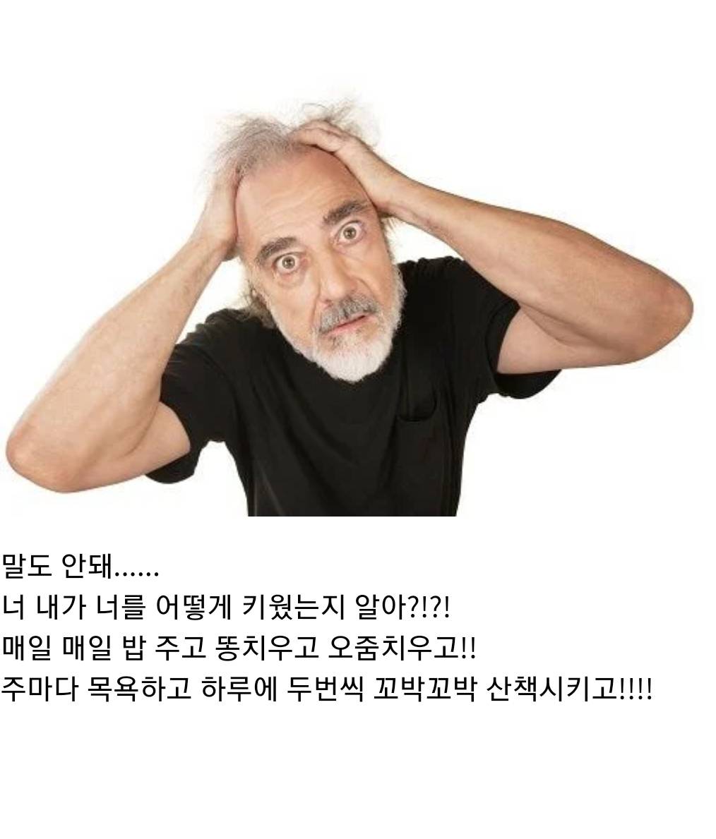 언니 나 사랑하는 개가 생겼어... 그 오빠랑 결혼하고 싶어 | 인스티즈