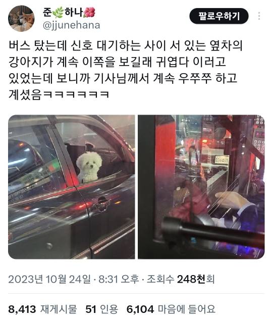 옆차의 강아지가 계속 이쪽을 보길래 귀엽다 이러고 있었는데 보니까 기사님께서 계속 우쭈쭈 하고 계셨음.twt | 인스티즈