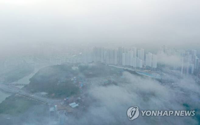 춘천오면 서울놈들이 깨끗한물 신선한물 먹겠다고 댐 세개나 박아놔서 이런광경 맨날볼수잇음.twt | 인스티즈