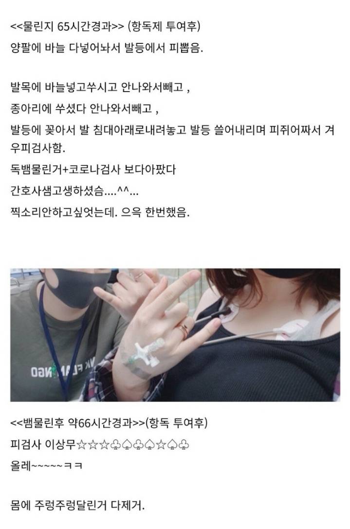 산책하다가 독사에게 물린 디시인 후기.jpg | 인스티즈