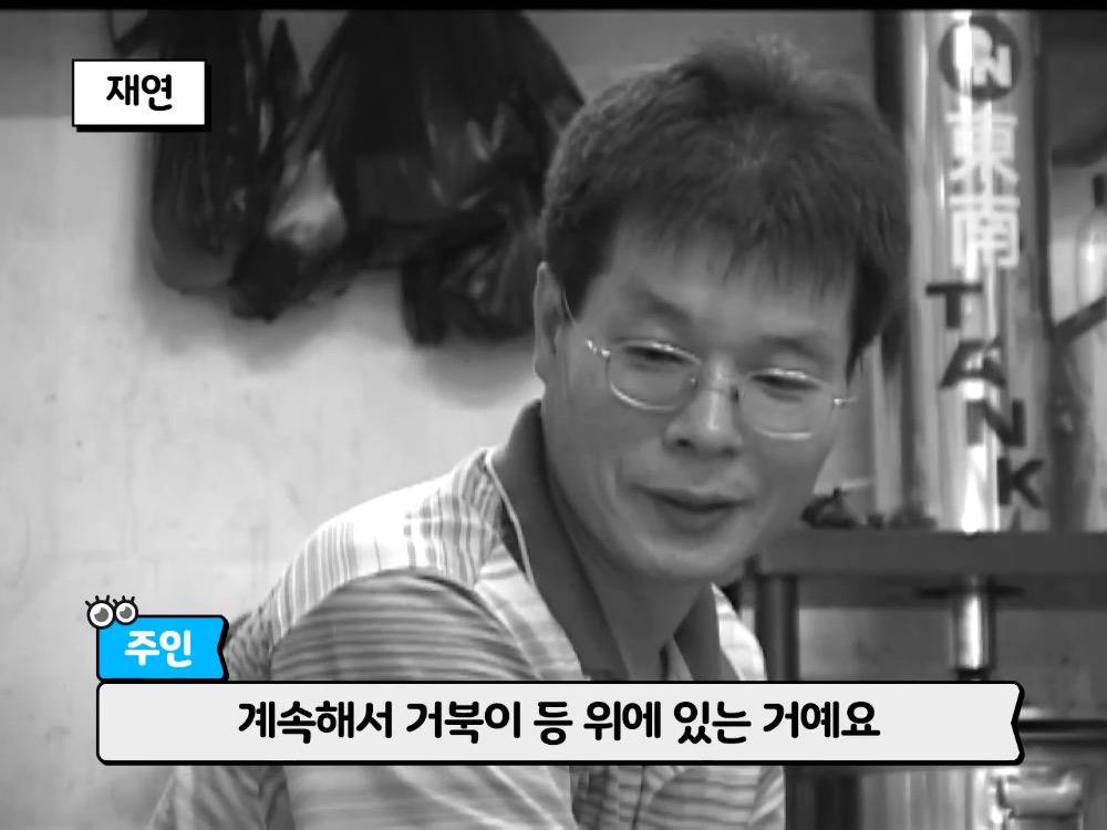 거북이 오너 고양이 | 인스티즈