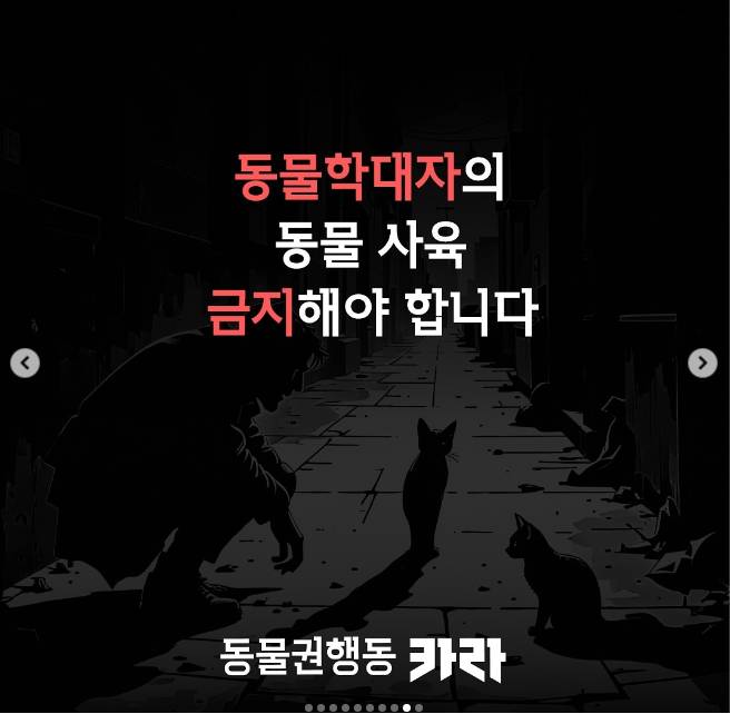 출소한 동물학대범 막을 길이 없습니다 서명, 동물학대범 대화내용 포함 | 인스티즈