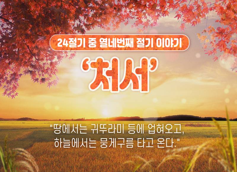 오늘 많은 사람이 느끼고 있는 것(아닐수도있음) | 인스티즈