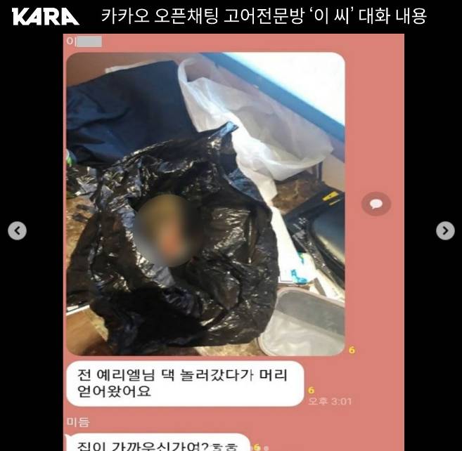 출소한 동물학대범 막을 길이 없습니다 서명, 동물학대범 대화내용 포함 | 인스티즈