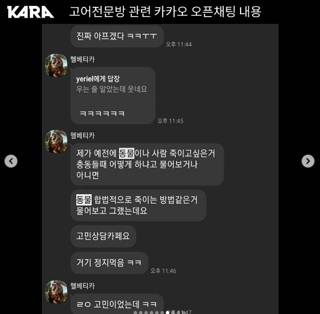 출소한 동물학대범 막을 길이 없습니다 서명, 동물학대범 대화내용 포함 | 인스티즈