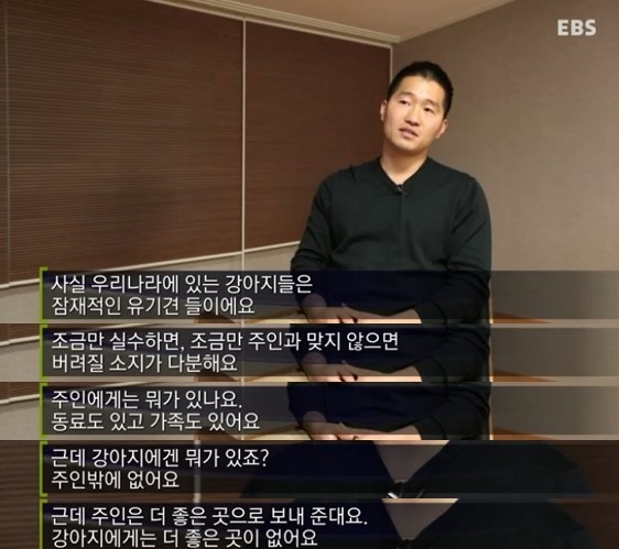 7년간 14번 출산...말티즈의 비참한 최후 | 인스티즈