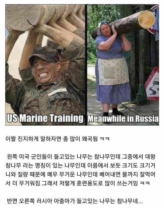 그 음탕한 갈매기 그런말이 원래 뭐였지? | 인스티즈