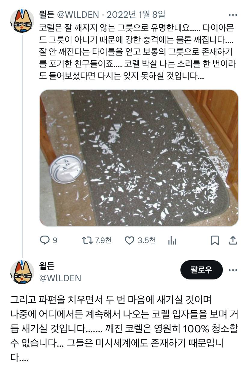 코렐은 잘 깨지지 않는 그릇으로 유명한데요 | 인스티즈