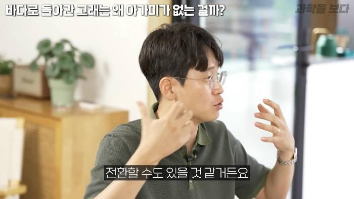 바다로 돌아간 고래는 왜 아가미를 만들지 못했는가 | 인스티즈
