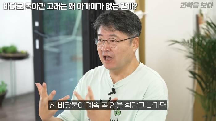 바다로 돌아간 고래는 왜 아가미를 만들지 못했는가 | 인스티즈