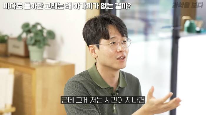 바다로 돌아간 고래는 왜 아가미를 만들지 못했는가 | 인스티즈