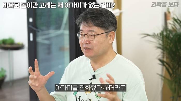 바다로 돌아간 고래는 왜 아가미를 만들지 못했는가 | 인스티즈