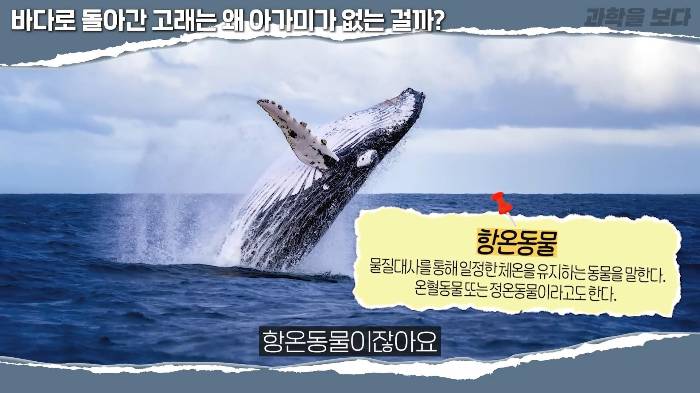 바다로 돌아간 고래는 왜 아가미를 만들지 못했는가 | 인스티즈