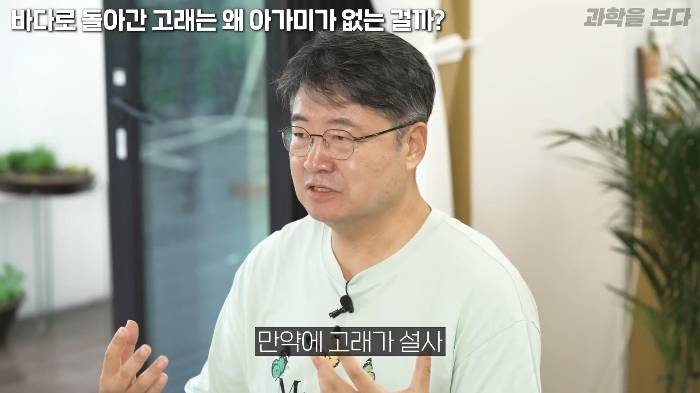 바다로 돌아간 고래는 왜 아가미를 만들지 못했는가 | 인스티즈