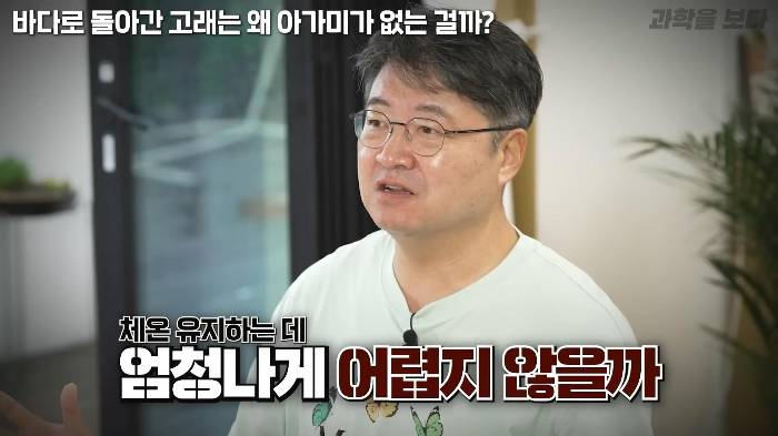 바다로 돌아간 고래는 왜 아가미를 만들지 못했는가 | 인스티즈