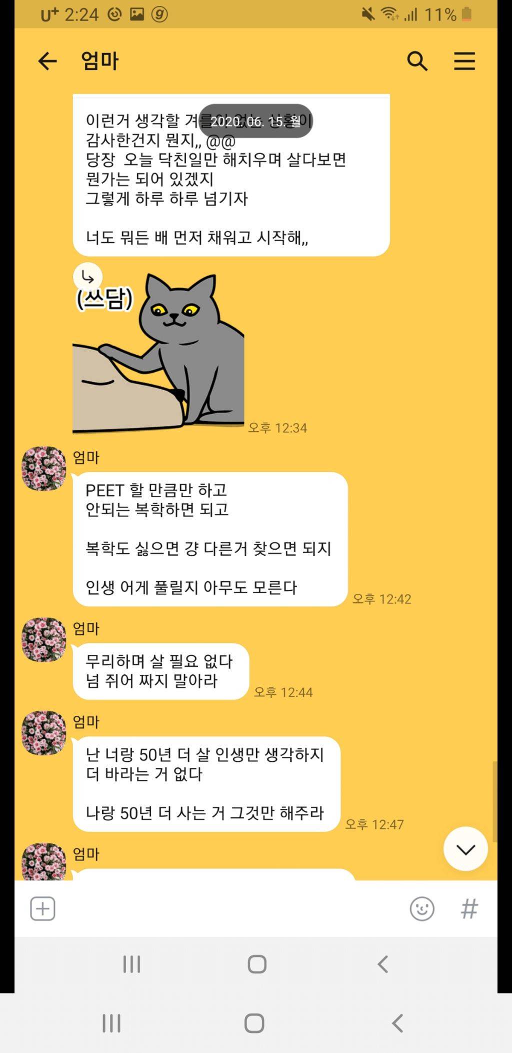 엄마가 딸에게 보내는 문자들 | 인스티즈