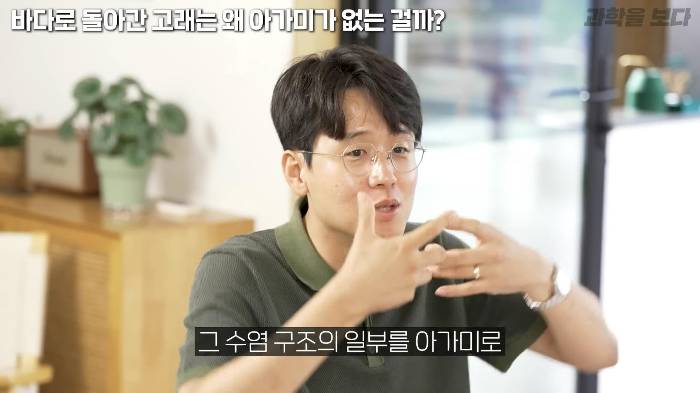 바다로 돌아간 고래는 왜 아가미를 만들지 못했는가 | 인스티즈