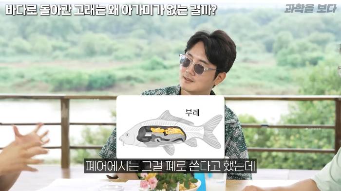 바다로 돌아간 고래는 왜 아가미를 만들지 못했는가 | 인스티즈