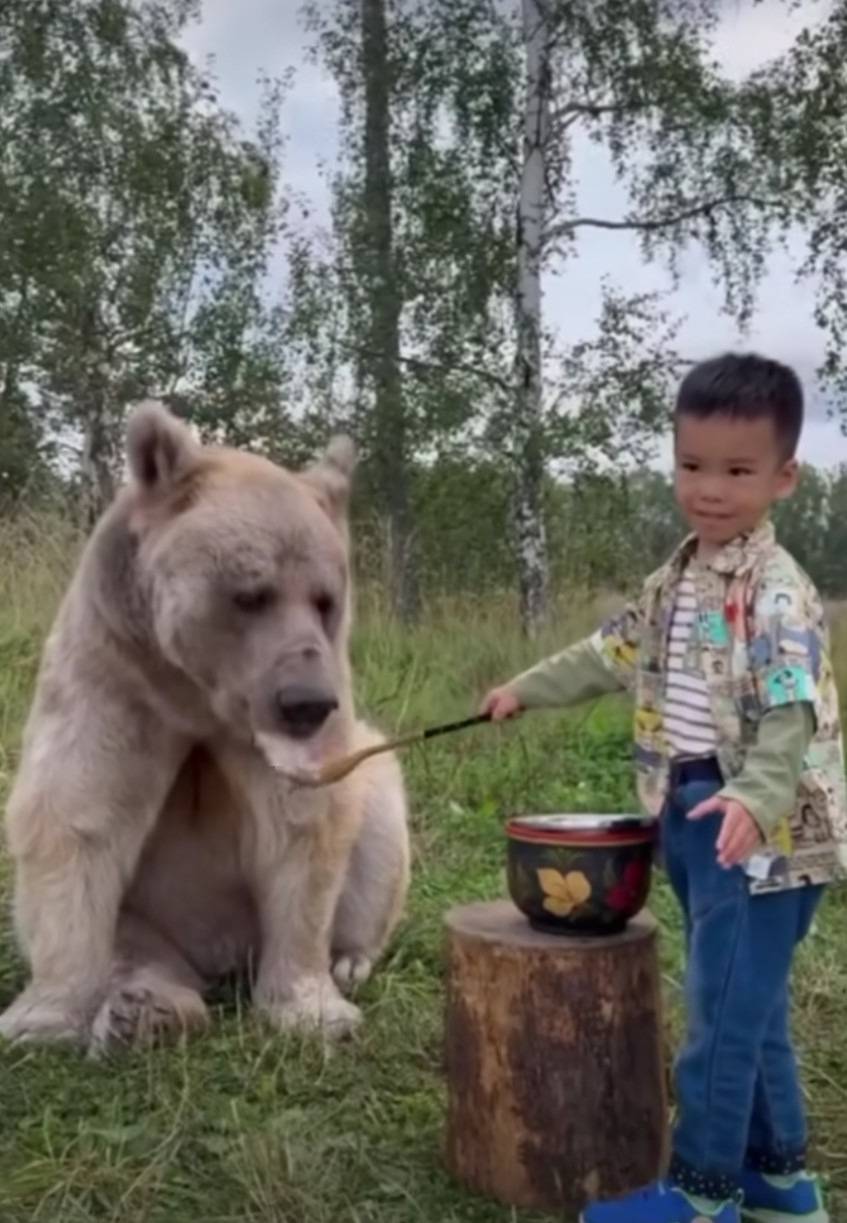 러시아의 흔한 반려동물🐻 | 인스티즈