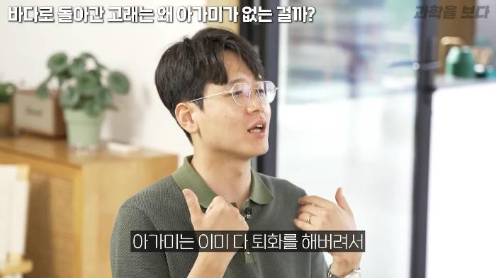 바다로 돌아간 고래는 왜 아가미를 만들지 못했는가 | 인스티즈