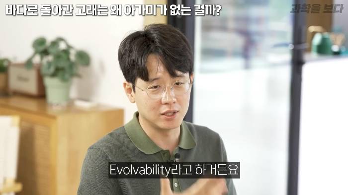 바다로 돌아간 고래는 왜 아가미를 만들지 못했는가 | 인스티즈