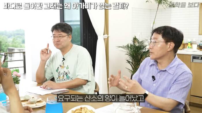 바다로 돌아간 고래는 왜 아가미를 만들지 못했는가 | 인스티즈