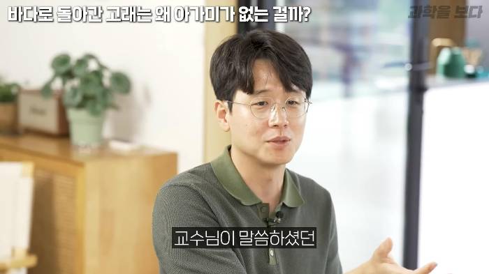 바다로 돌아간 고래는 왜 아가미를 만들지 못했는가 | 인스티즈