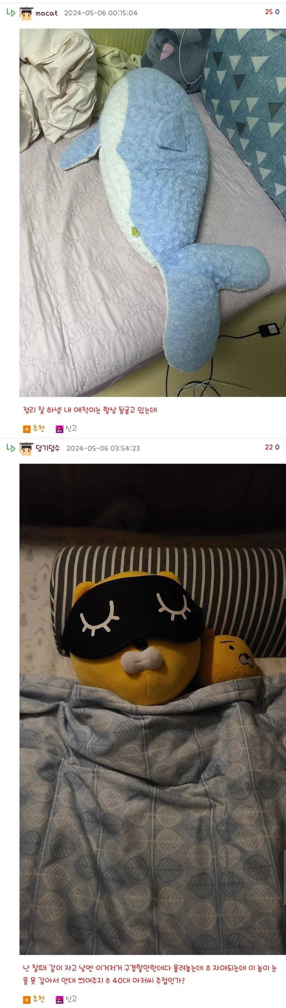 애착인형 자랑시간.jpg | 인스티즈